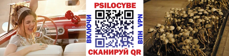 Галлюциногенные грибы Psilocybine cubensis  дарнет шоп  Нолинск 